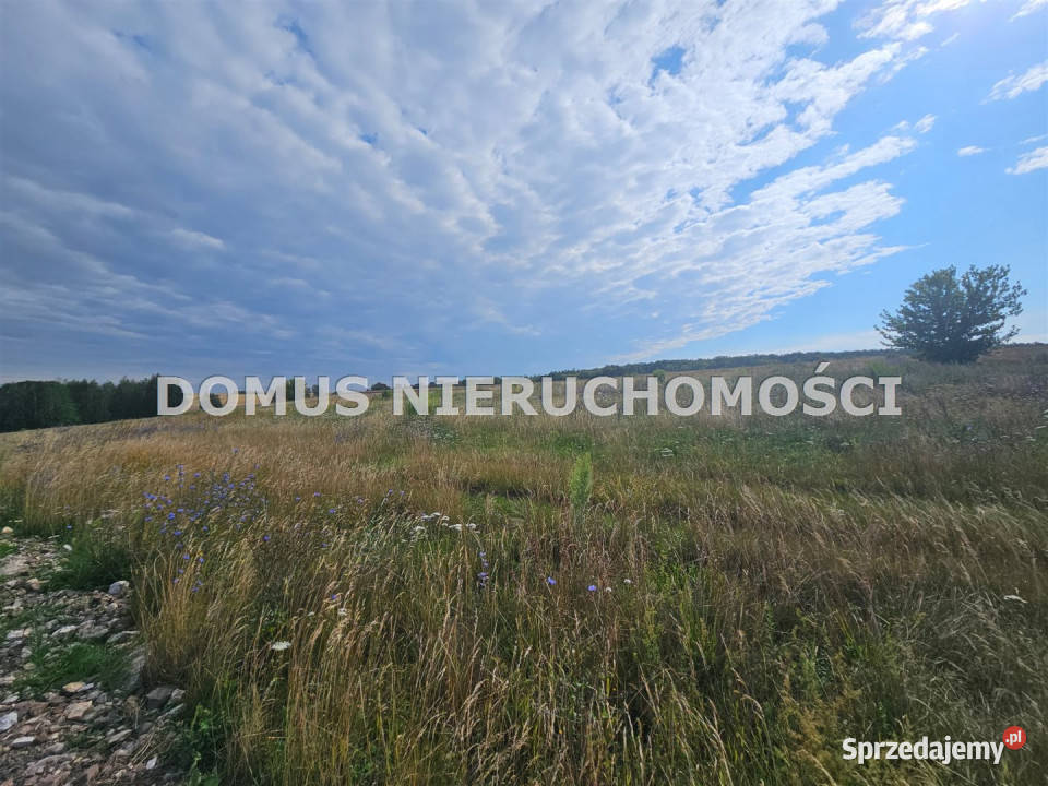 Działka Jasień 3000m2 sprzedam