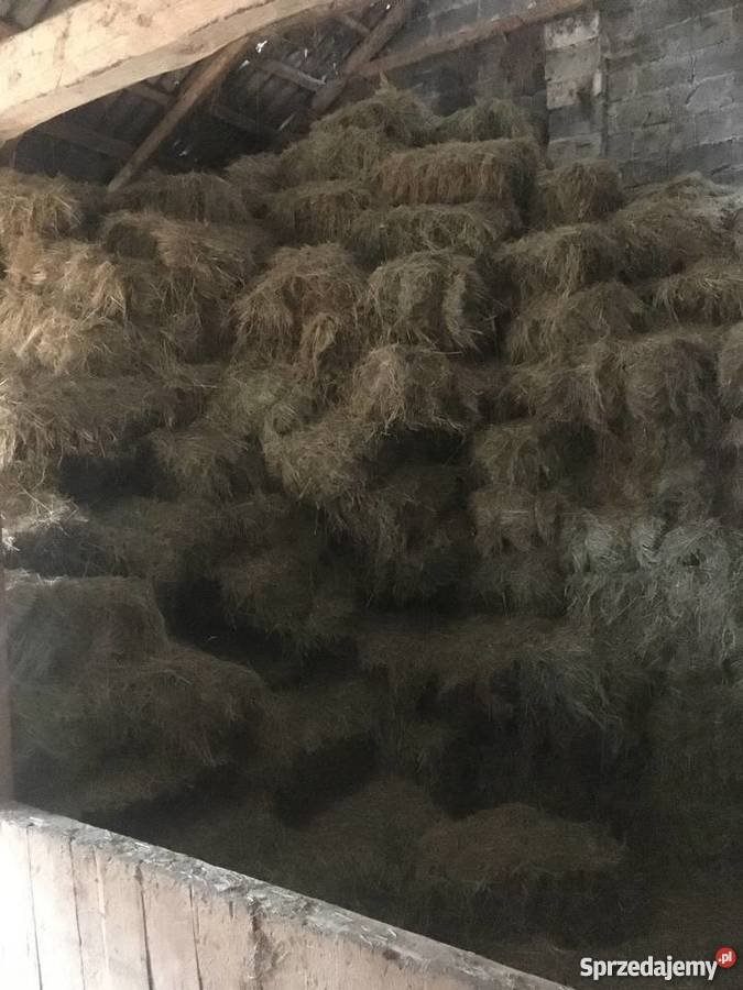 Siano w kostkach kostki świętokrzyskie sprzedam