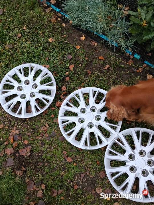 Kołpaki 15 kia śląskie Poraj sprzedam