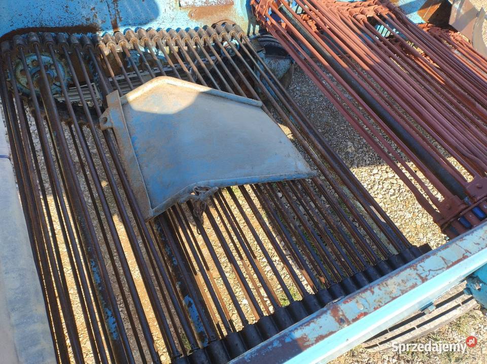 Kopaczka elewatorowa do ziemniaków świętokrzyskie Wodzisław