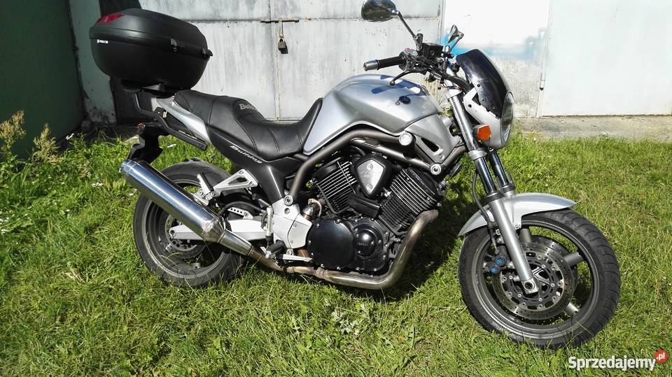 Yamaha bulldog BT 1100 warmińsko-mazurskie Pisz sprzedam