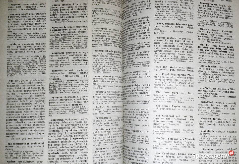 Słownik wyrazów obcych i zwrotów obcojęzycznych