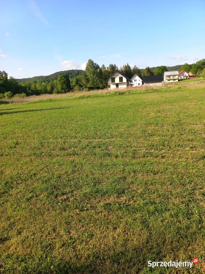 Piękną widokową działka w Gogołowie 80m podkarpackie Gogołów
