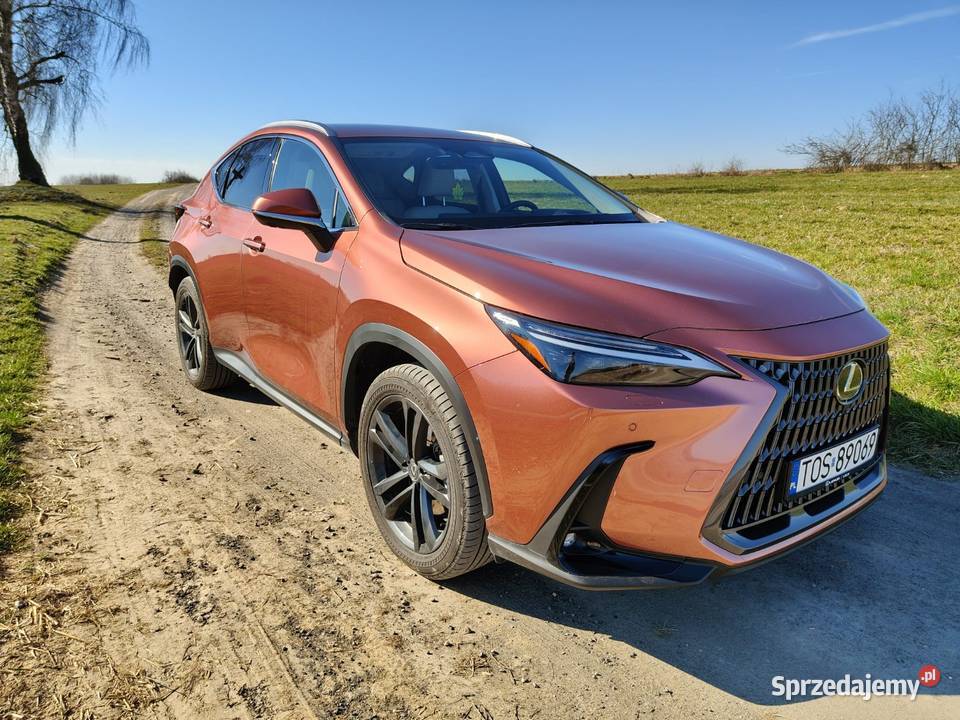 Lexus NX 350h AWD Prestige Design Premium 243KM świętokrzyskie Bukowie
