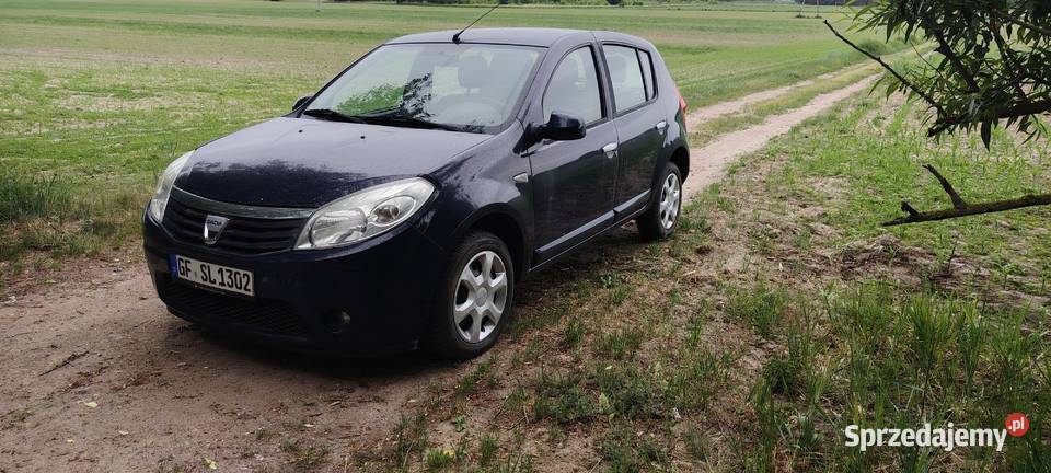 Dacia Sandero Zakurzewo