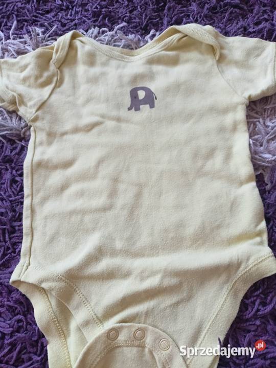 Body chłopca rozmiar 7480 3 pary 10 Włocławek