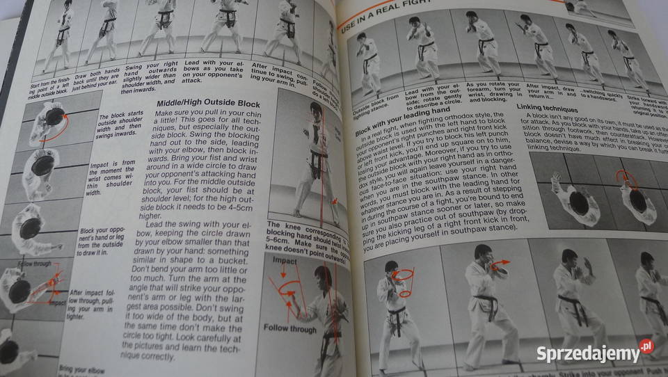 ASHIHARA More Fighting Karate czII Sabaki Radom