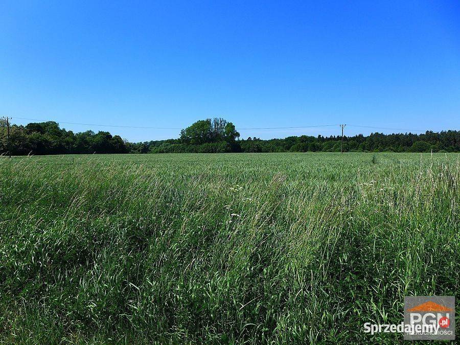 Ogłoszenie działka Gryfice 1430m2