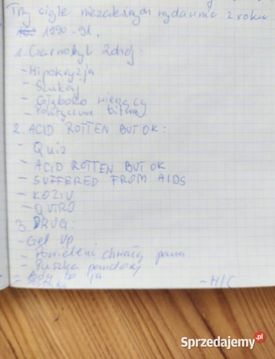 Winyle Polski Punk Alternatywa Lata 90 Płyty i kasety śląskie Cieszyn