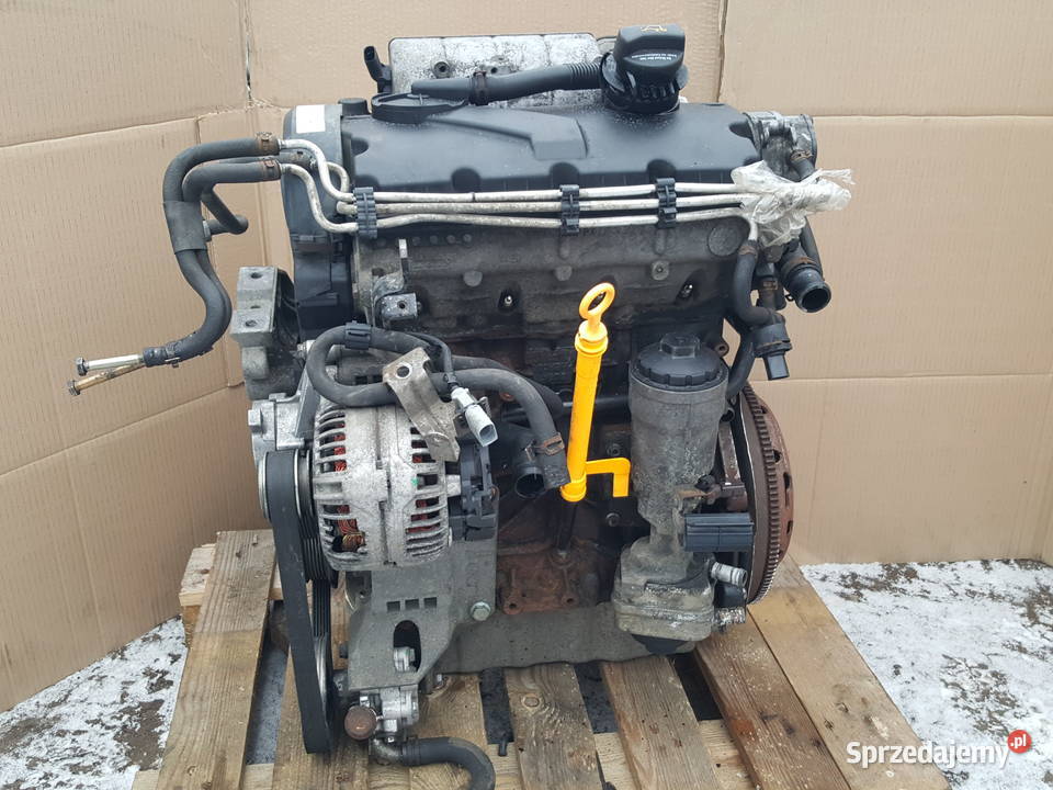 Silnik Vw Caddy III 20 SDI 312 kompletny 08r kujawsko-pomorskie Gniewkowo sprzedam