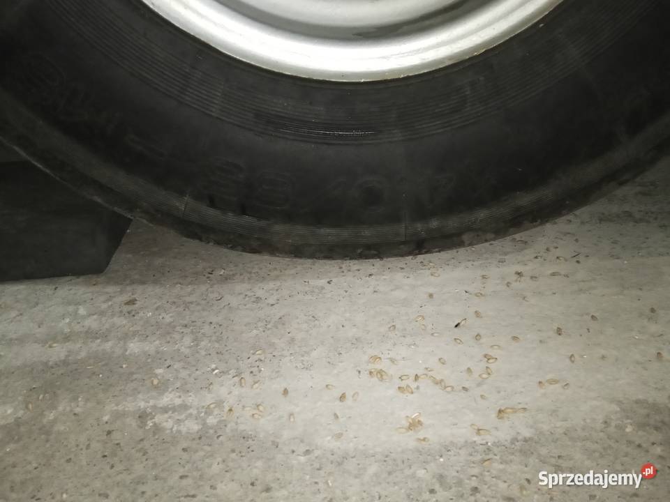 Koła 1505517 1406516 Pronar 6 szpilek Metal Fach Opony rolnicze Sierpc