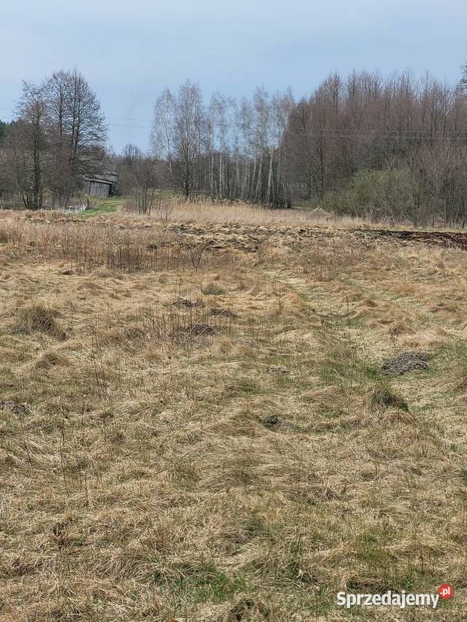 Piękna duża działka idealna na stworzenie 12zł/m2