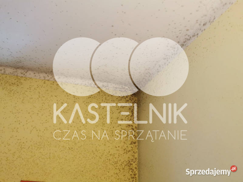 Ozonowanie pomieszczeń Trzebnica dezynfekcja