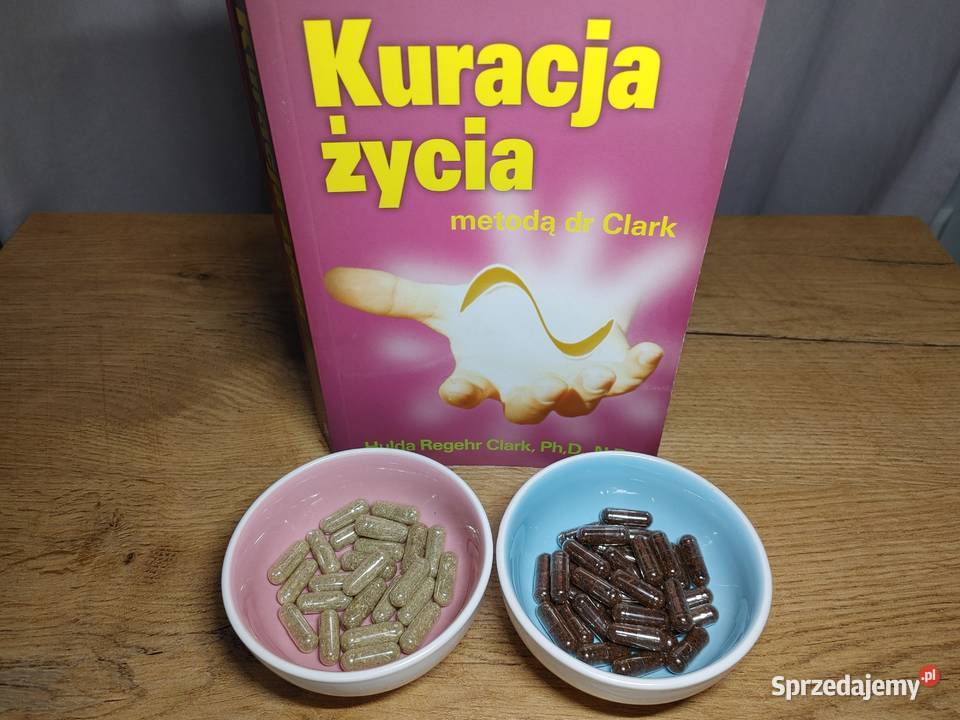 Goździki Piołun na Odrobaczanie H Clark Kuracja Złoczew