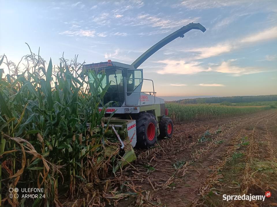 Claas jaguar 695 sl Kleszczele