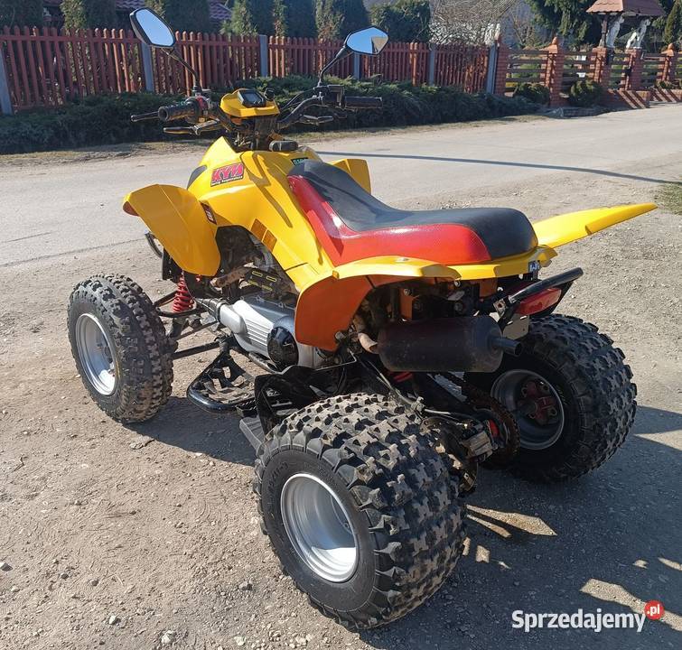 Quad Dinli 300 Masai Busko-Zdrój