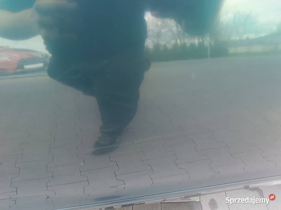 Drzwi Gołe Tył Lewy LZ6U Audi A4 B5 a47 Myszków