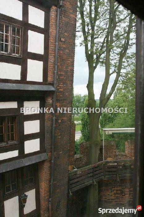 lokal Toruń Stare Miasto