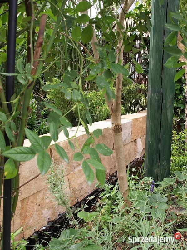 Kamień murowy formak rzędowy 20x20x40 Radomsko