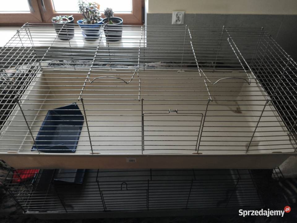 2x Klatka 120 królika świnki morskiej MPS Baldo Mirzec