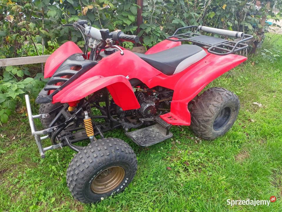 Quad Bashan wielkopolskie Bolewice