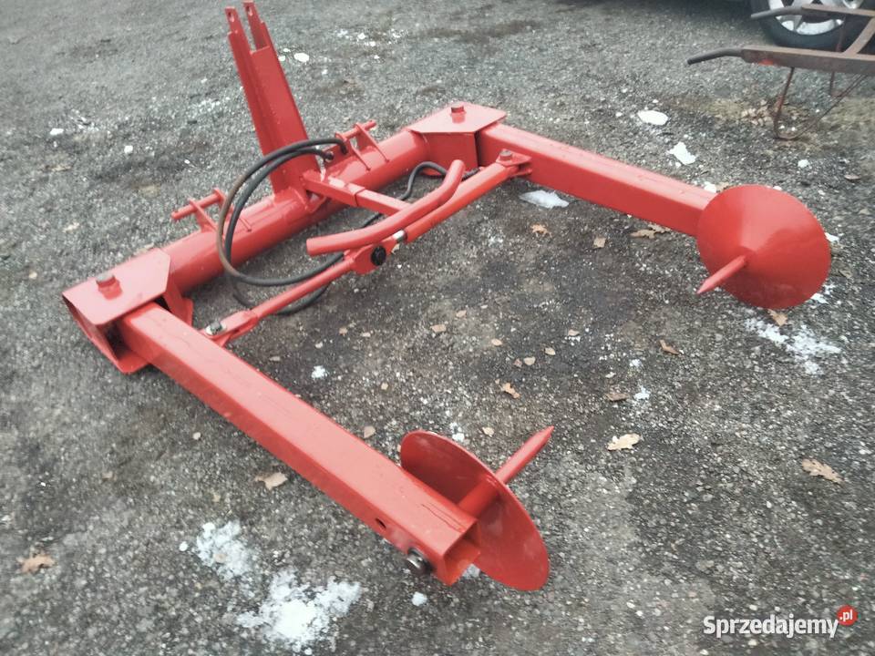 Sipma rozmarynrozwijak bel Zbuczyn