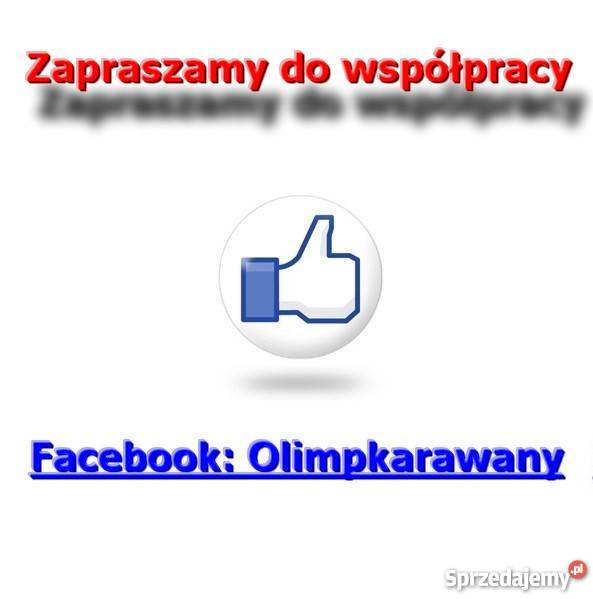 Zabudowa Na Karawan Pogrzebowy Grupa Olimp Łask