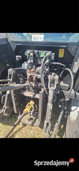 Same dorado 86 kujawsko-pomorskie Radziejów