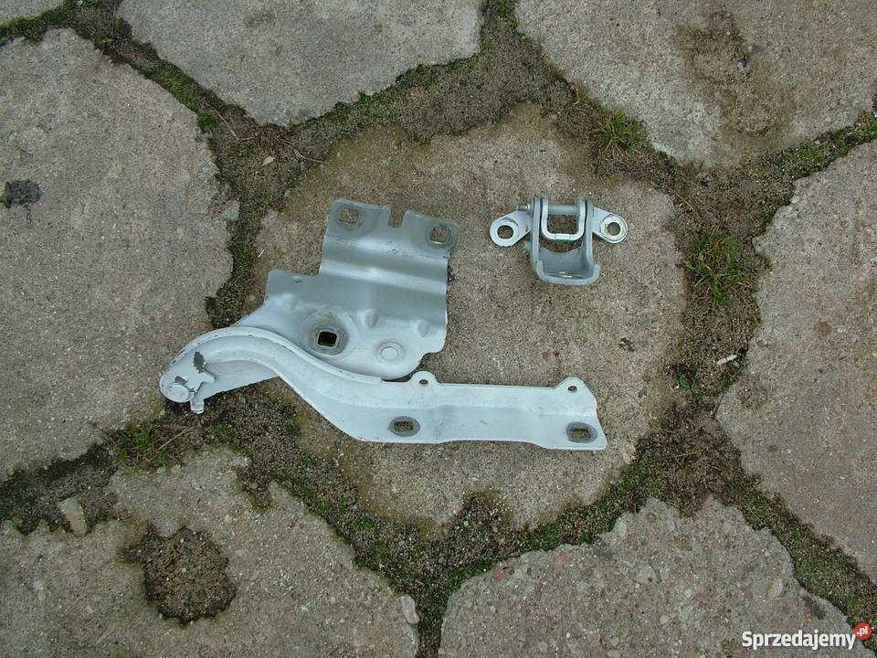 Renault Talisman Zawiasy maski i drzwi osobowe Turek