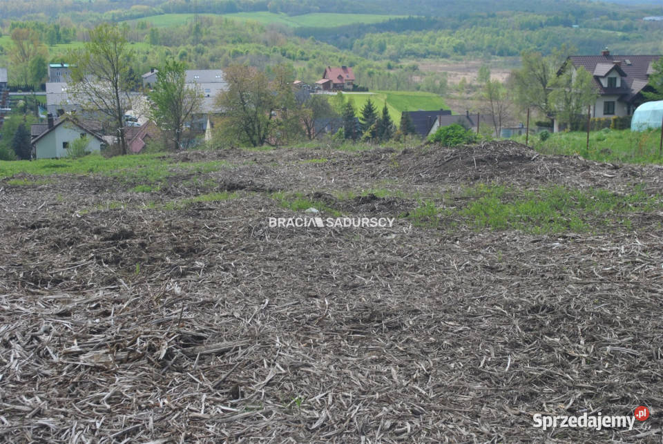 Działka Wieliczka Magnoliowa 4200m2 sprzedam