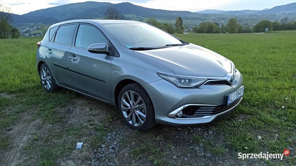 Executive 1 właściciel Auris małopolskie Tymbark