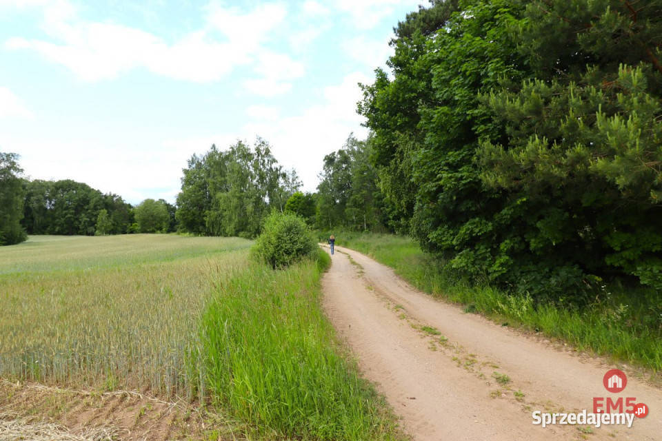 Działka do sprzedania 55000m2 Garbas Drugi
