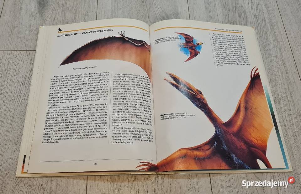 Książka Dinozaury władcy ziemi Łódź sprzedam