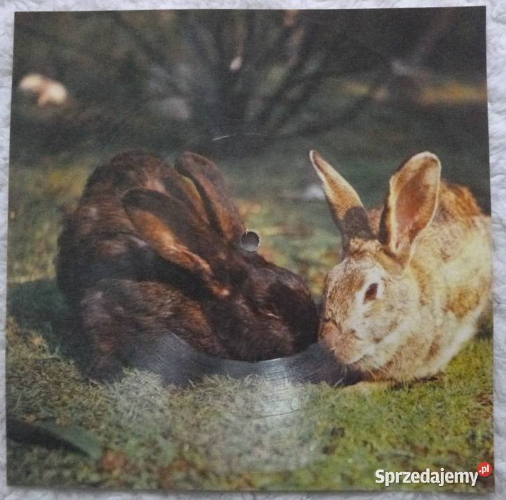 Pocztówka dźwiękowa 1979 Patti Boulaye Warszawa