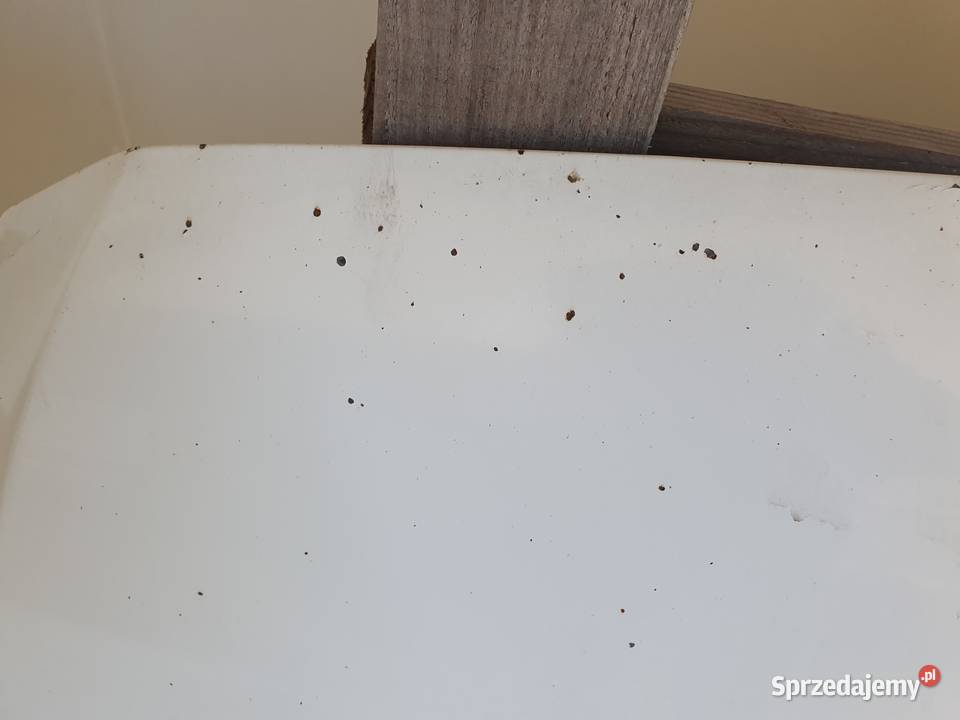 PRZEDNIA MASKA Ford Transit Custom MK1 20122017 lubelskie Chełm