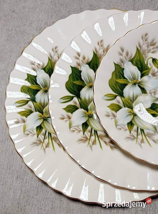 Royal Albert Trillium Filiżanka Zestaw deserowy Szczecin