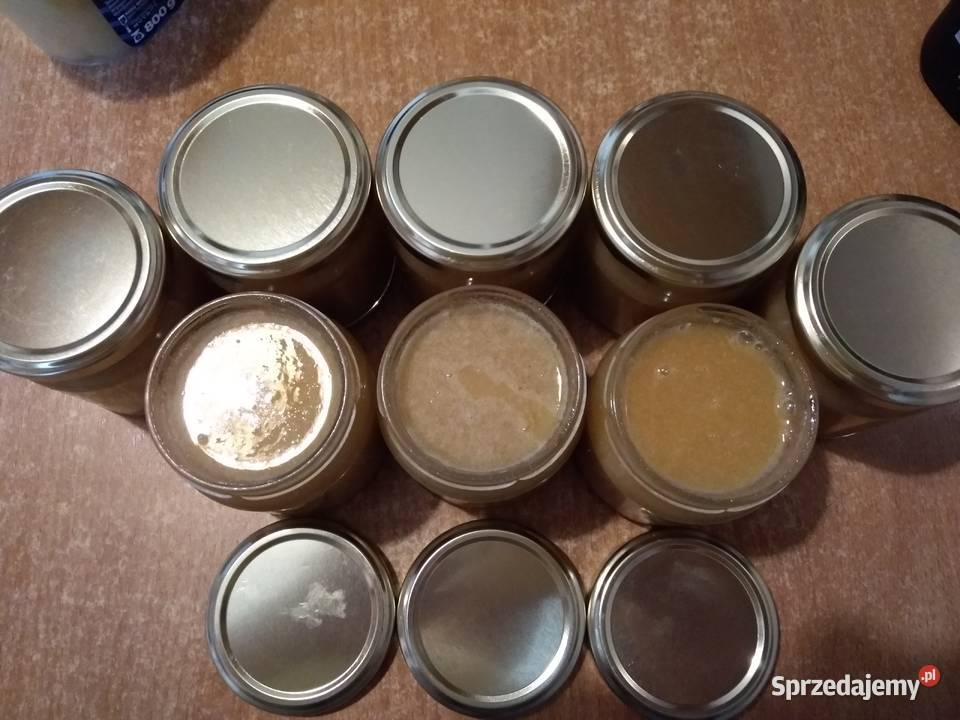 Mleczko pszczele trutowe Gomogenat Trutowy Warszawa