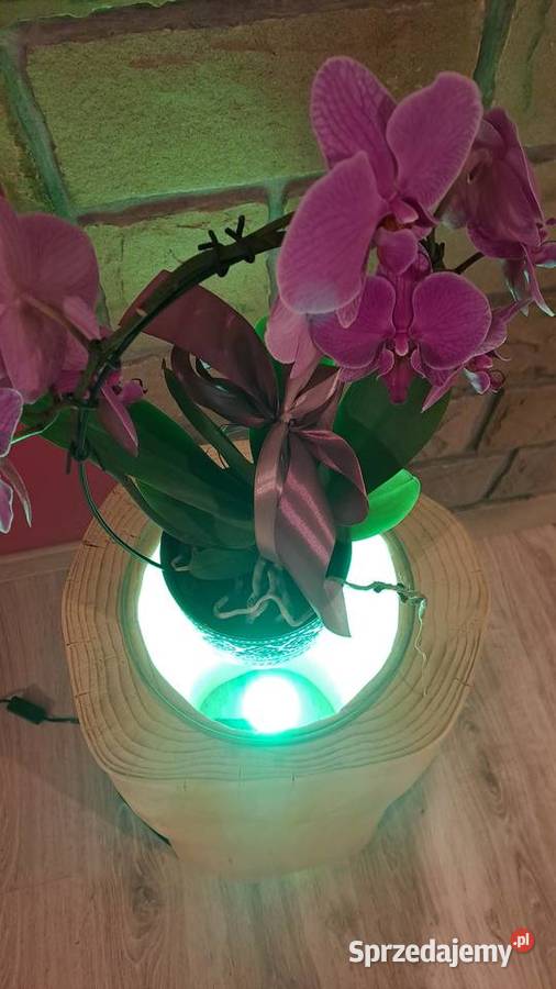 Lampka nocna sprzedam