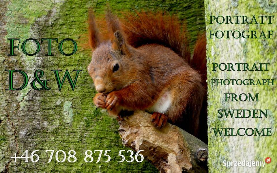 WKRĘTAKI ELEKTRYKÓW zachodniopomorskie Szczecin