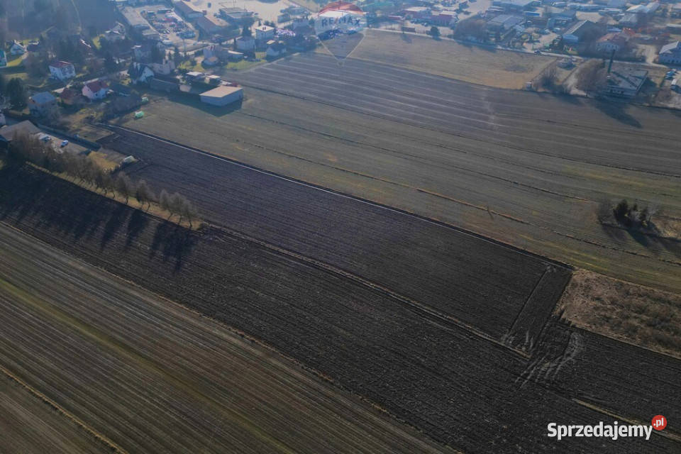DZIAŁKA BUDOWLANA W MIECHOWIE Miechów
