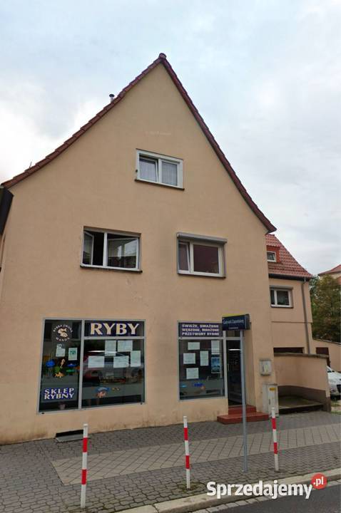 LOKAL 75m OPOLE 1MAJA DUŻE WITRYNY 75m2 opolskie sprzedam