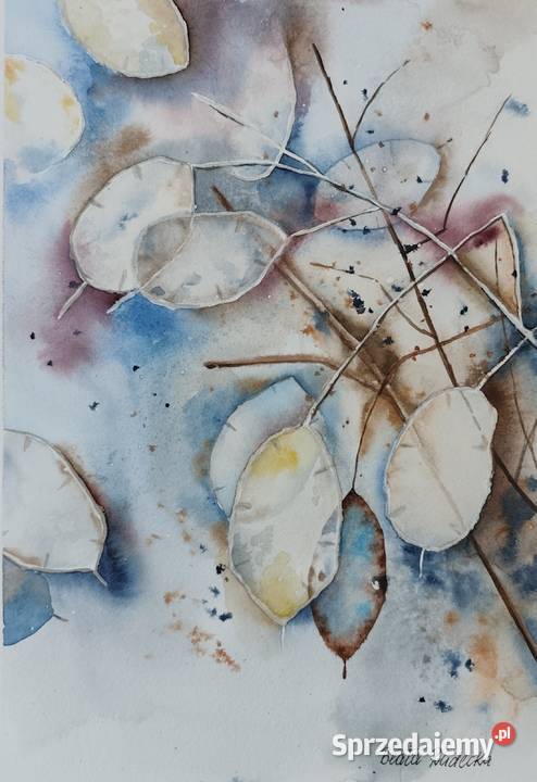 Akwarela Akwarelka Obraz pt Lunaria Kołobrzeg
