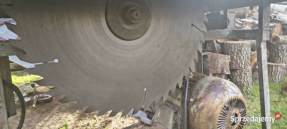 Cyrkularka Pozostałe sprzedam