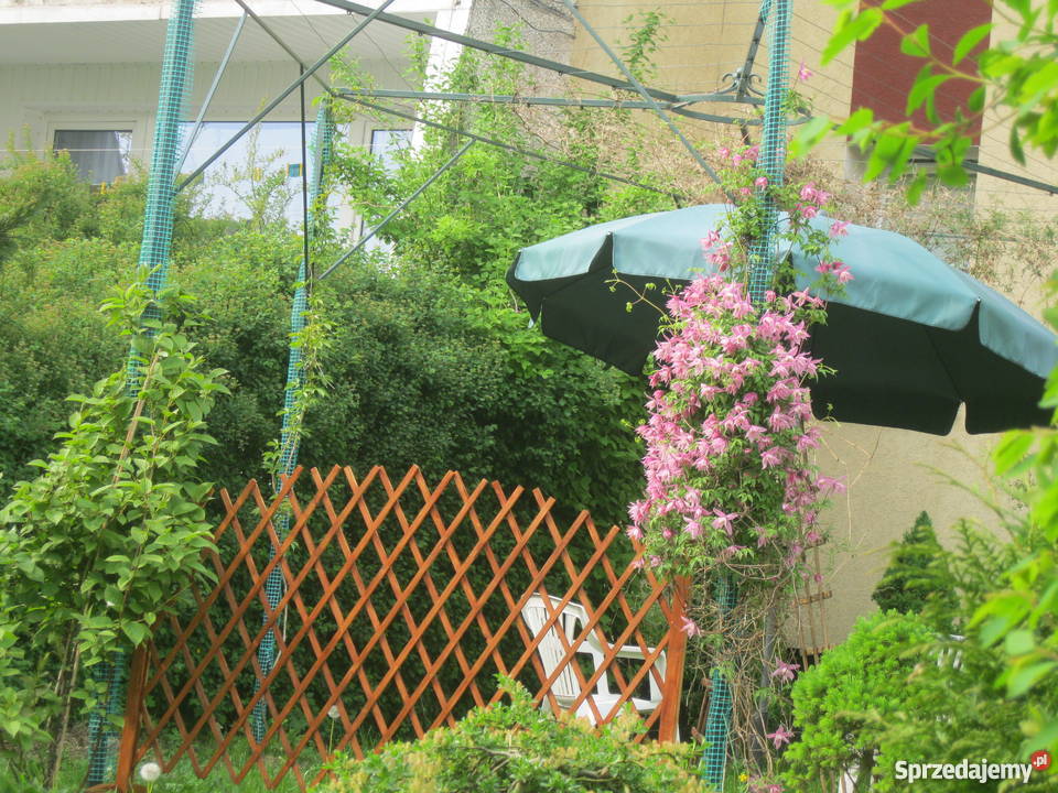 Mieszkanie z ogródkiem w Rumi sprzedam miejsce parkingowe pomorskie Rumia