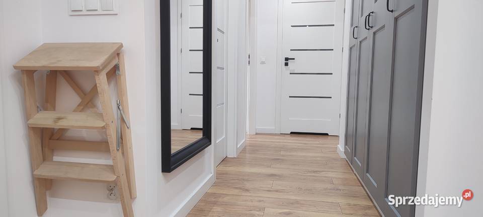 Pokój 13met Komedy WINDA Wrocław Wynajem sprzedam