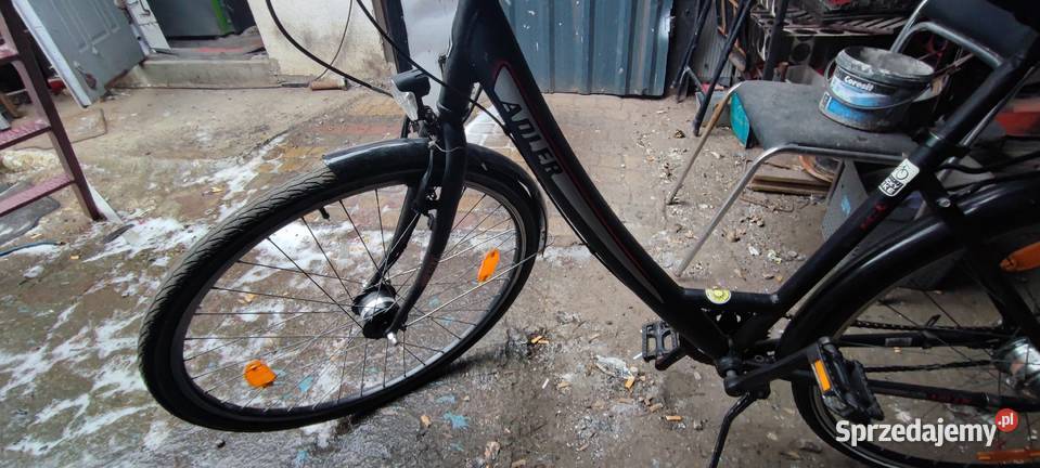 Damka Adler Miejski Niemcy kujawsko-pomorskie Kcynia