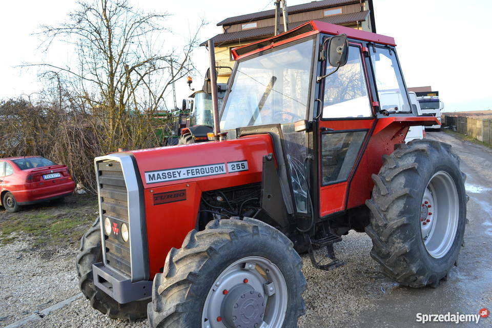 Massey Ferguson 265 ursus 3514 zetor john raty świętokrzyskie Brzeziny
