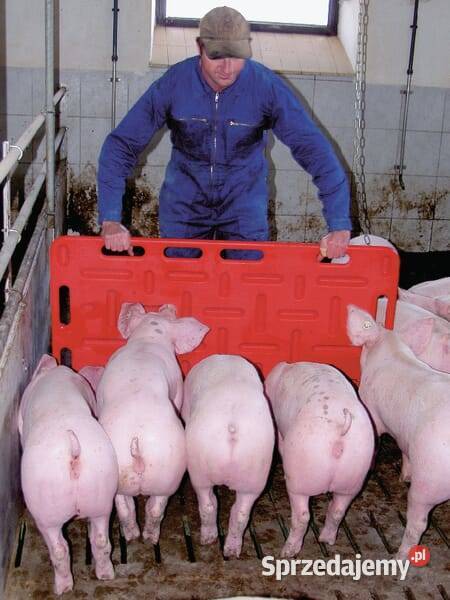 Płyta przepędowa 94 x 76 VV9010 Kamionna