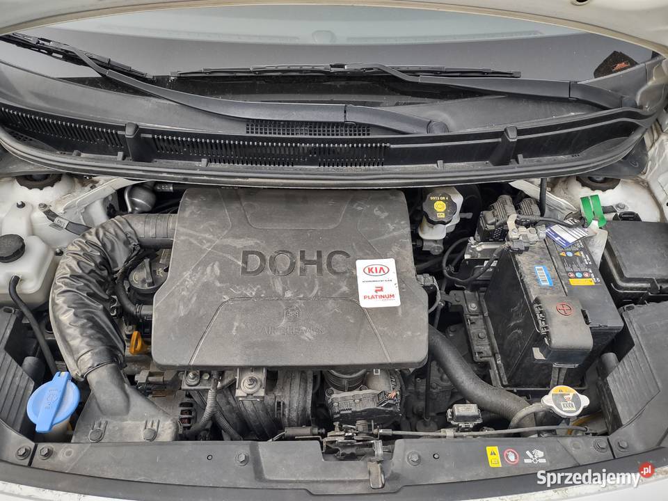 Kia Picanto 10 M Wrocław