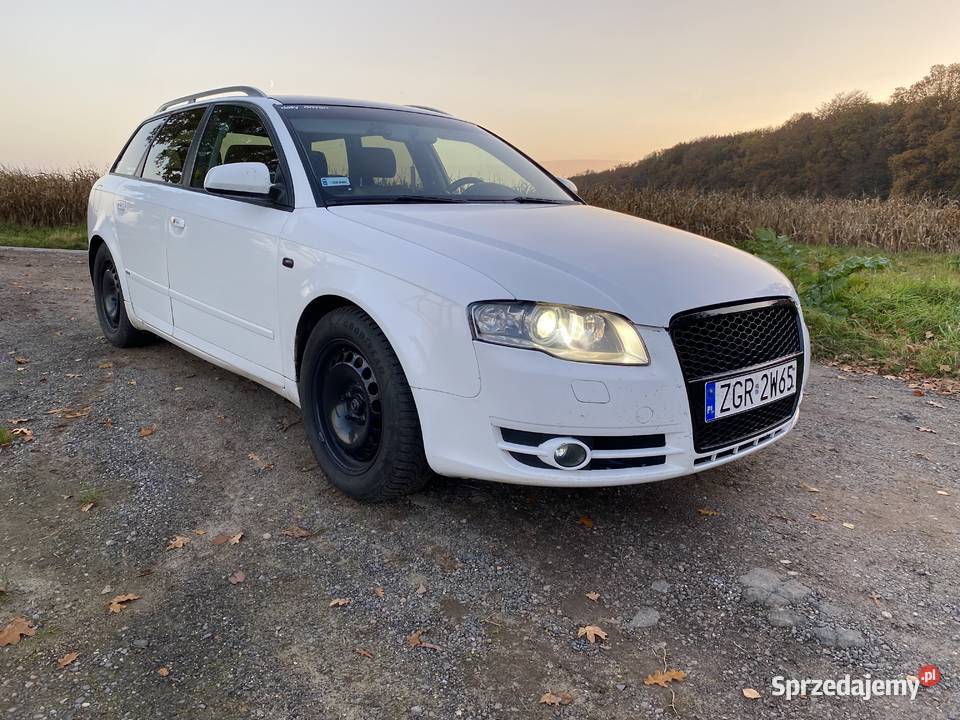 Audi A4 B7 20 TDI